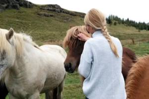 Girl feeding ponies as part of an animal management course