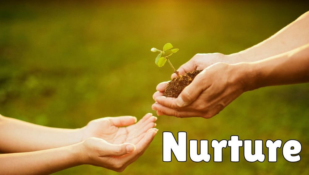 nurture